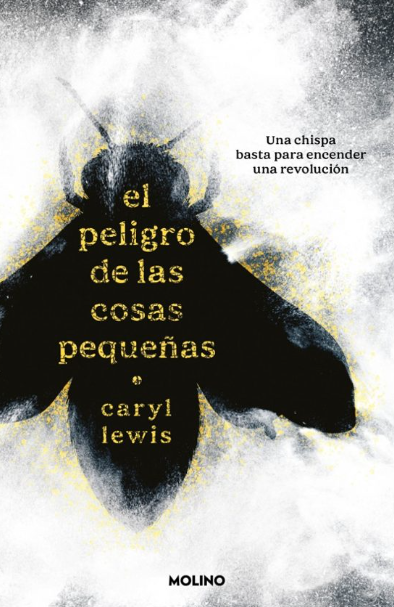Captura de pantalla 2026-08-18 000845 El Peligro De Las Cosas Pequeñas - Imagen 1