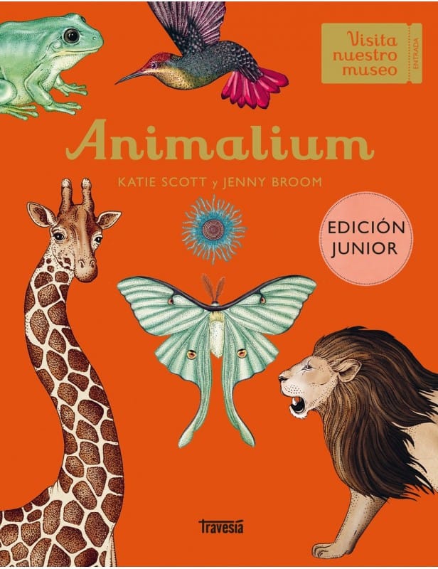 animalium-junior-edition Animalium - Imagen 1